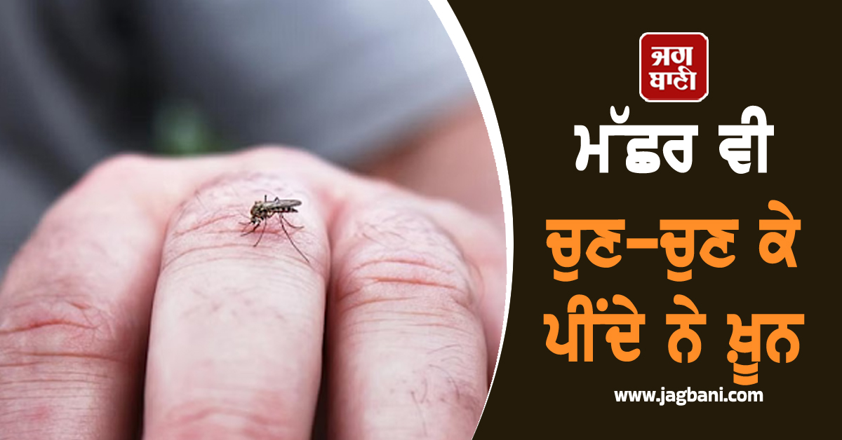 ਮੱਛਰ ਵੀ ਚੁਣ-ਚੁਣ ਕੇ ਪੀਂਦੇ ਨੇ ਖ਼ੂਨ ! ਇਸ ਬਲੱਡ ਗਰੁੱਪ ਦੇ ਲੋਕਾਂ ਨੂੰ ਸਭ ਤੋਂ ਵੱਧ ਖ਼ਤਰਾ