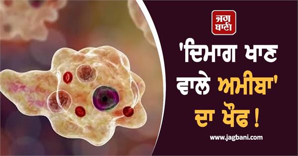 alert fear of brain eating amoeba increasing