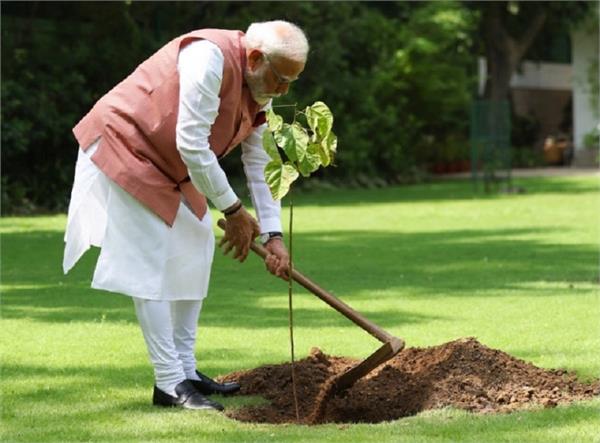 pm modi birthday 75 lakh plants