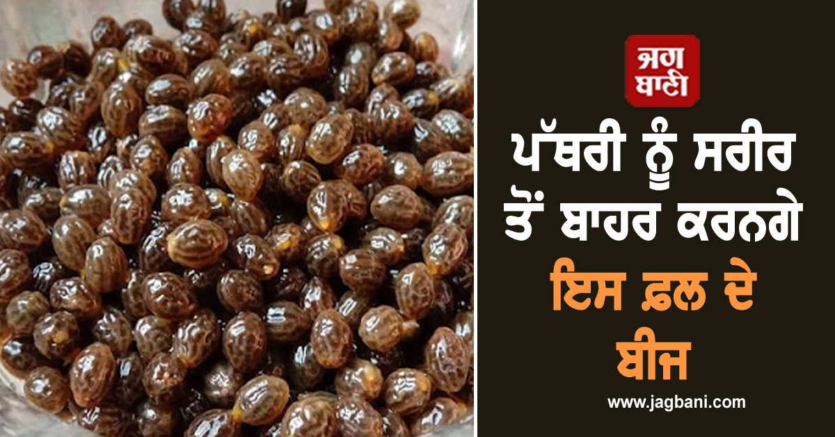 ਪੱਥਰੀ ਨੂੰ ਸਰੀਰ ਤੋਂ ਬਾਹਰ ਕਰਨਗੇ ਇਸ ਫ਼ਲ ਦੇ ਬੀਜ, ਜਾਣੋ ਫ਼ਾਇਦੇ ਤੇ ਇਸਤੇਮਾਲ ਦੀ ਸਹੀ ਤਰੀਕਾ