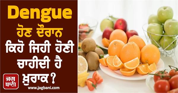 what should be the diet during dengue 