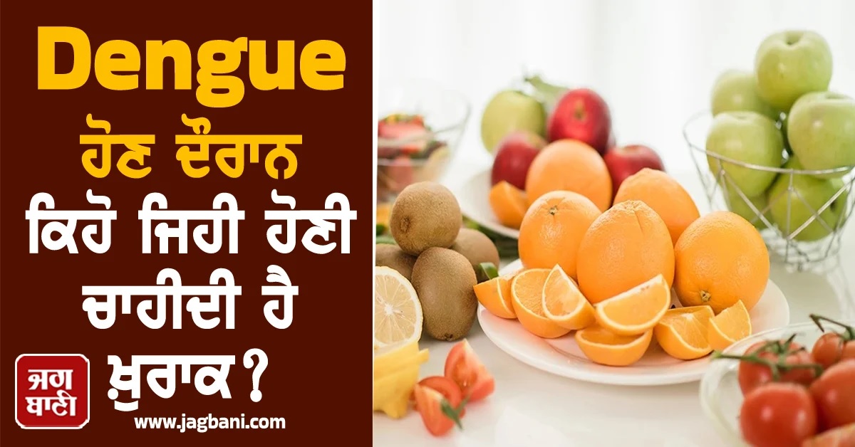 Dengue ਹੋਣ ਦੌਰਾਨ ਕਿਹੋ ਜਿਹੀ ਹੋਣੀ ਚਾਹੀਦੀ ਹੈ ਖ਼ੁਰਾਕ? ਜਾਣੋਂ ਮਾਹਰਾਂ ਦੀ ਰਾਇ