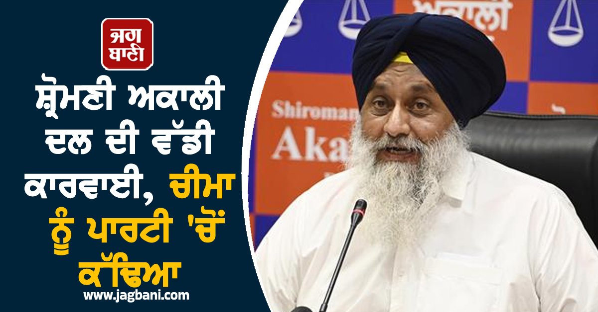 ਸ਼੍ਰੋਮਣੀ ਅਕਾਲੀ ਦਲ ਦੀ ਵੱਡੀ ਕਾਰਵਾਈ, ਚੀਮਾ ਨੂੰ ਪਾਰਟੀ 'ਚੋਂ ਕੱਢਿਆ