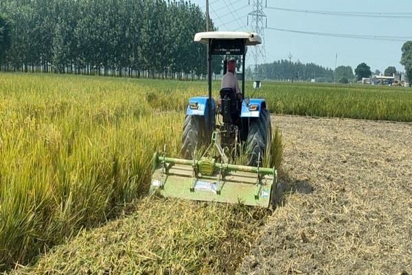 after the floods  another blow has hit punjab 