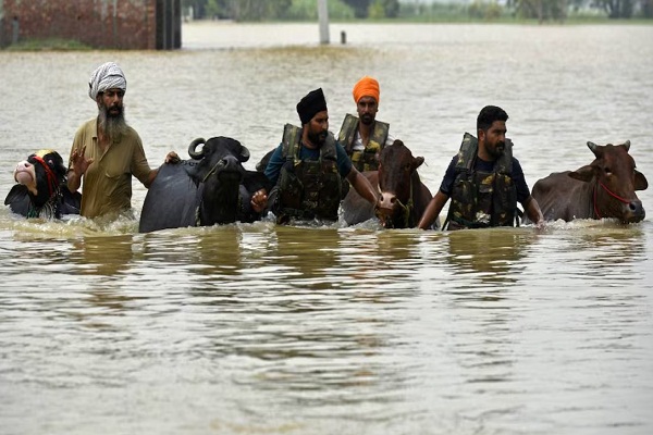 ਹੜ੍ਹਾਂ ਨੂੰ ਲੈ ਕੇ ਮੰਤਰੀ ਬਰਿੰਦਰ ਕੁਮਾਰ ਗੋਇਲ ਦਾ ਵੱਡਾ ਬਿਆਨ, ਦੱਸਿਆ ਕਿਸ ਵਜ੍ਹਾ ਕਾਰਨ ਡੁੱਬਿਆ ਪੰਜਾਬ (ਵੀਡੀਓ)