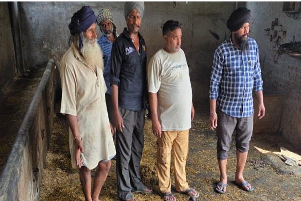 animals of poor farmer die under suspicious circumstances