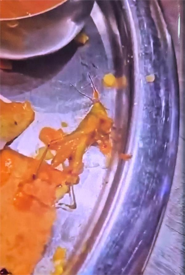 punjab dosa viral video