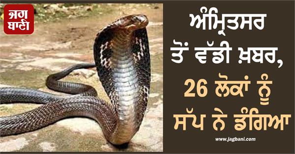big news from amritsar 26 people bitten by snake