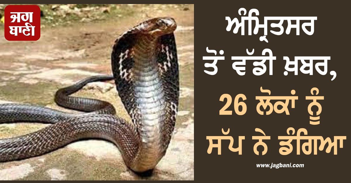 ਅੰਮ੍ਰਿਤਸਰ ਤੋਂ ਵੱਡੀ ਖ਼ਬਰ, 26 ਲੋਕਾਂ ਨੂੰ ਸੱਪ ਨੇ ਡੰਗਿਆ