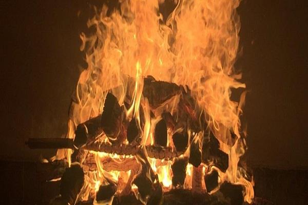 cremation case