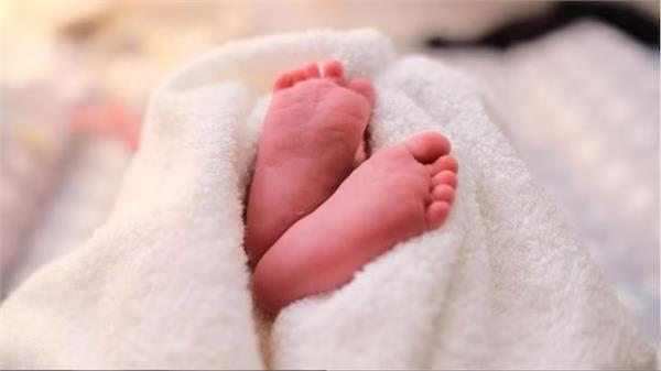 inter state child trafficking gang busted  six infants recovered