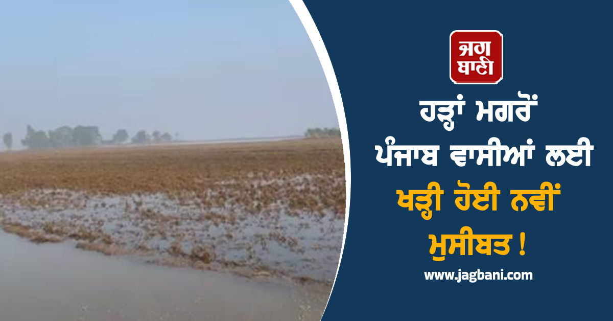 ਹੜ੍ਹਾਂ ਮਗਰੋਂ ਪੰਜਾਬ ਵਾਸੀਆਂ ਲਈ ਖੜ੍ਹੀ ਹੋਈ ਨਵੀਂ ਮੁਸੀਬਤ! ਖ਼ਬਰ 'ਚ ਪੜ੍ਹੋ ਕੀ ਹੈ ਪੂਰਾ ਮਾਮਲਾ