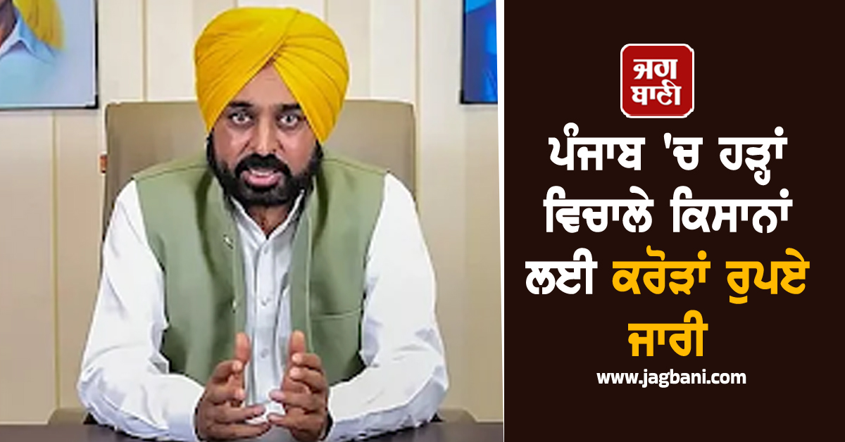 ਪੰਜਾਬ 'ਚ ਹੜ੍ਹਾਂ ਵਿਚਾਲੇ ਕਿਸਾਨਾਂ ਲਈ ਕਰੋੜਾਂ ਰੁਪਏ ਜਾਰੀ
