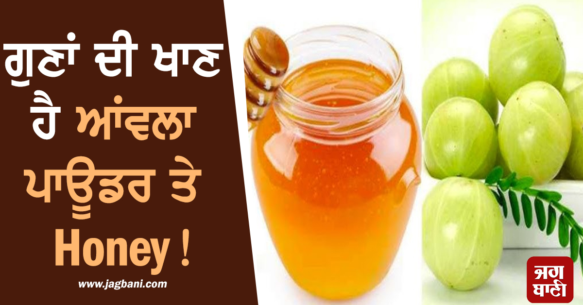 ਗੁਣਾਂ ਦੀ ਖਾਣ ਹੈ ਆਂਵਲਾ ਪਾਊਡਰ ਤੇ Honey! ਰੋਜ਼ਾਨਾ ਸੇਵਨ ਨਾਲ ਮਿਲੇਗਾ ਕਈ ਰੋਗਾਂ ਤੋਂ ਛੁਟਕਾਰਾ
