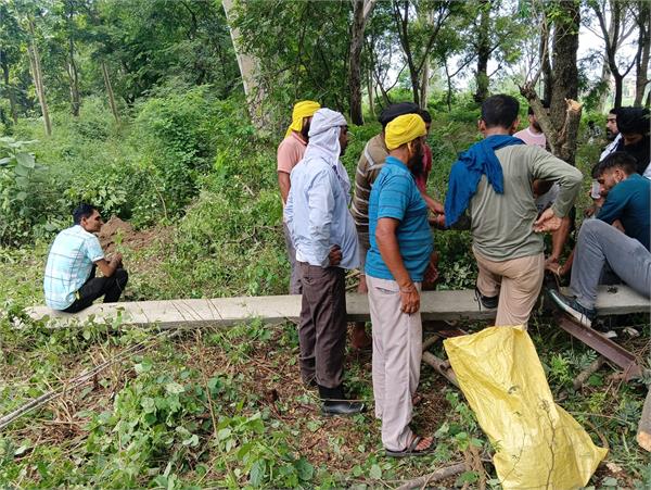 power supply restored in 187 flood affected villages of gurdaspur