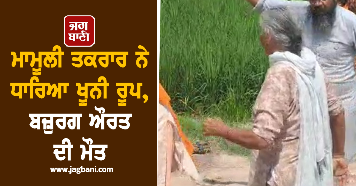 ਮਾਮੂਲੀ ਤਕਰਾਰ ਨੇ ਧਾਰਿਆ ਖੂਨੀ ਰੂਪ, ਬਜ਼ੁਰਗ ਔਰਤ ਦੀ ਮੌਤ