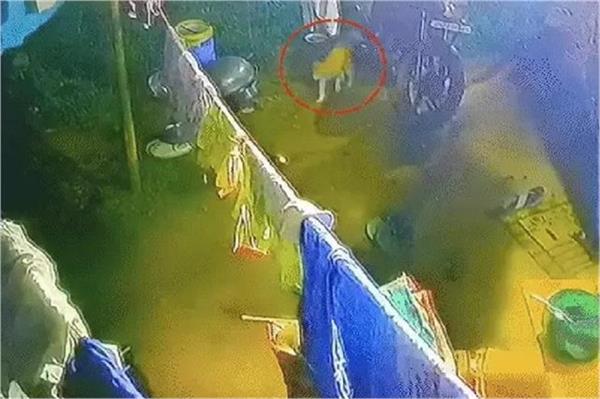 a man was sitting in his courtyard suddenly a tiger