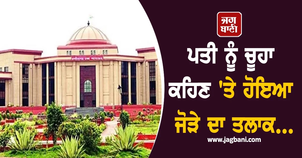 ਪਤੀ ਨੂੰ 'ਚੂਹਾ' ਆਖ ਬੇਇੱਜ਼ਤ ਕਰਦੀ ਸੀ ਪਤਨੀ, High Court ਪੁੱਜਾ ਮਾਮਲਾ, ਇਕ ਜ਼ਿੱਦ ਨੇ ਕਰਾਇਆ ਤਲਾਕ