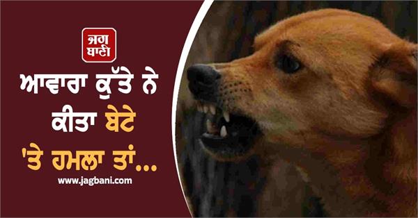 uttar pradesh unnao child dog attack