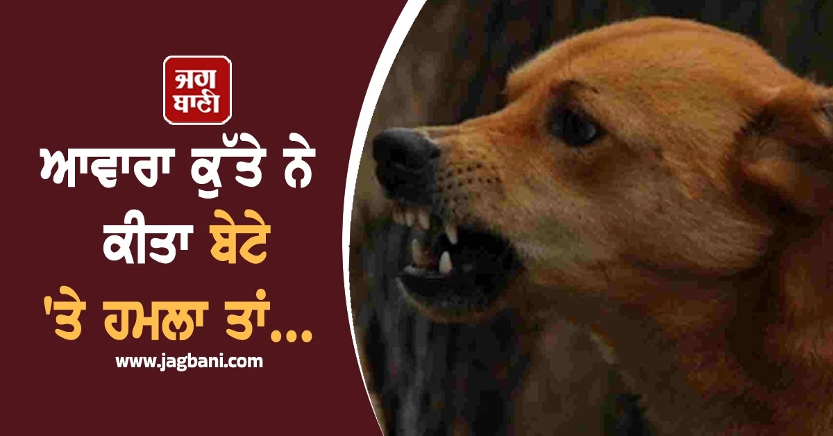 ਆਵਾਰਾ ਕੁੱਤੇ ਨੇ ਕੀਤਾ ਪੁੱਤ 'ਤੇ ਹਮਲਾ ਤਾਂ ਗੁੱਸੇ 'ਚ ਆਏ ਪਿਓ ਨੇ ਪਾ...