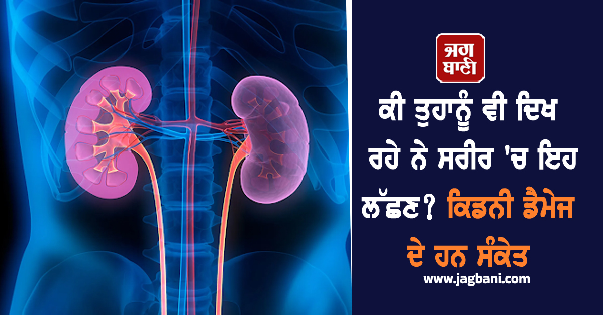 ਕੀ ਤੁਹਾਨੂੰ ਵੀ ਦਿਖ ਰਹੇ ਨੇ ਸਰੀਰ ''ਚ ਇਹ ਲੱਛਣ? ਕਿਡਨੀ ਡੈਮੇਜ ਦੇ ਹਨ ਸੰਕੇਤ