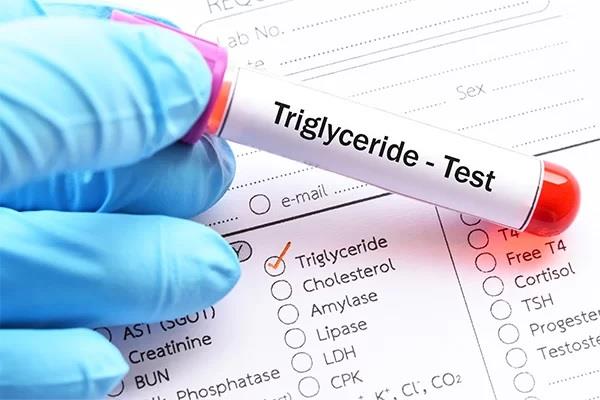 india child high triglycerides report