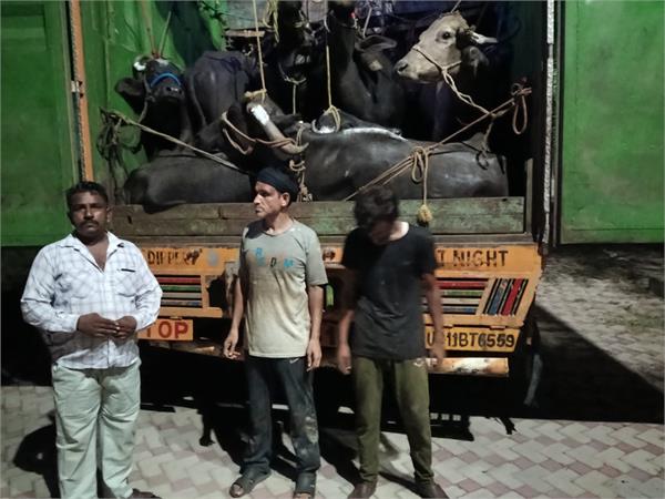 animal smuggling exposed in hajipur