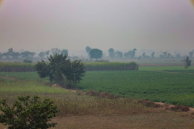 ਪੰਜਾਬ ਦੇ Weather ਦੀ ਤਾਜ਼ਾ ਅਪਡੇਟ, 29 ਸਤੰਬਰ ਤੱਕ ਹੋਈ ਵੱਡੀ ਭਵਿੱਖਬਾਣੀ, 24 ਘੰਟਿਆਂ ''ਚ ਮਾਨਸੂਨ...