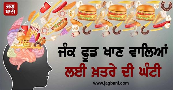 junk food brain memory study