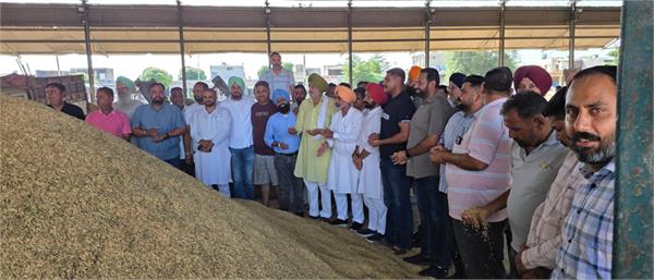 grain market  paddy  crop  farmer
