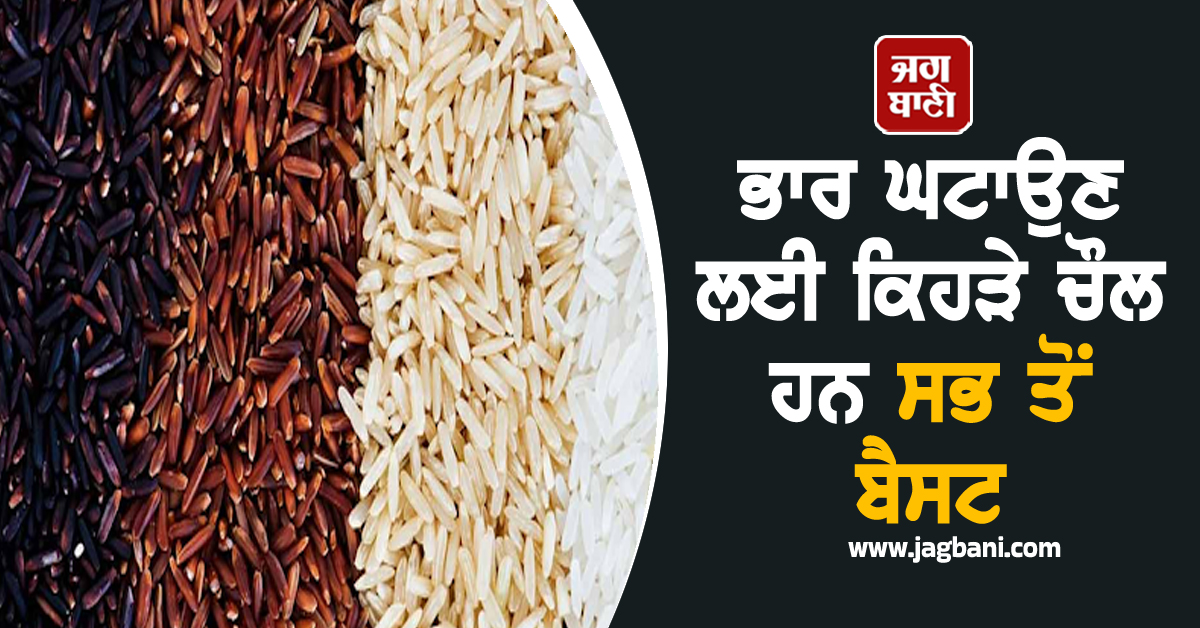 Black, Red ਜਾਂ Brown Rice: ਭਾਰ ਘਟਾਉਣ ਲਈ ਕਿਹੜੇ ਚੌਲ ਹਨ ਸਭ ਤੋਂ ਬੈਸਟ