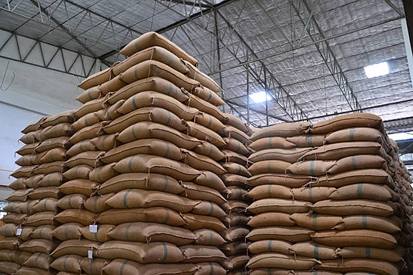 Rice Exporters ਲਈ ਝਟਕਾ ! ਹੁਣ ਪ੍ਰਤੀ ਟਨ ਨਿਰਯਾਤ 'ਤੇ ਦੇਣੀ ਹੋਵੇਗੀ ਇੰਨੀ ਫ਼ੀਸ
