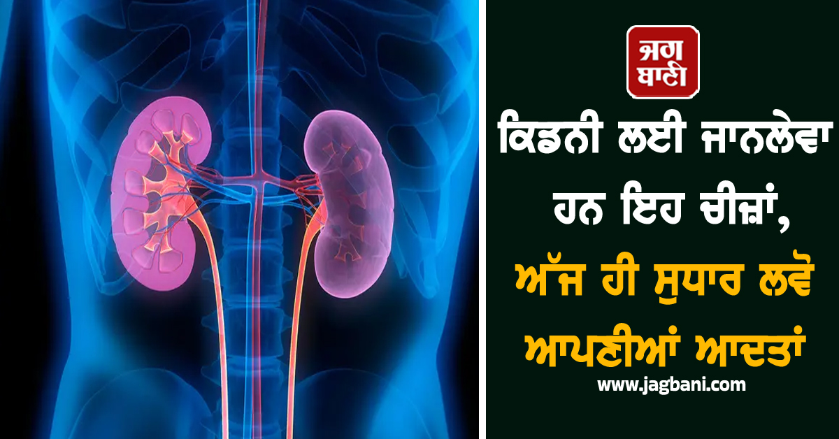 ਕਿਡਨੀ ਲਈ ਜਾਨਲੇਵਾ ਹਨ ਇਹ ਚੀਜ਼ਾਂ, ਅੱਜ ਹੀ ਸੁਧਾਰ ਲਵੋ ਆਪਣੀਆਂ ਆਦਤਾਂ