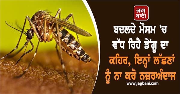 dengue weather symptoms treatment