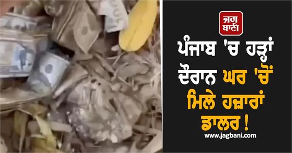 viral video shows staged dollars no punjab flood link