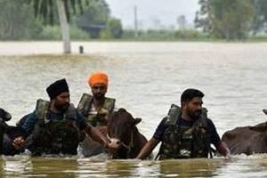 punjab flood punjabi singer target