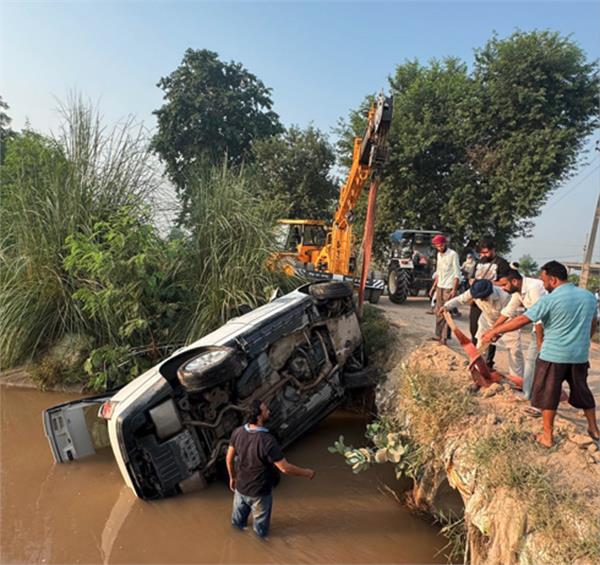 animals  accident  range rover