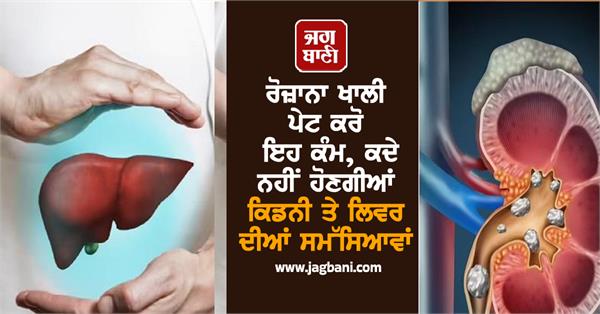 body disease liver kidney