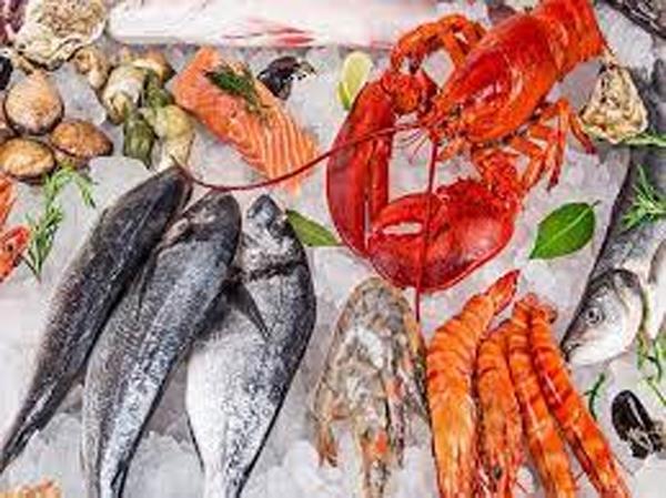 seafood exhibition companies 15 countries