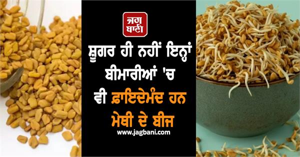 diabetes sprouted fenugreek seeds disease