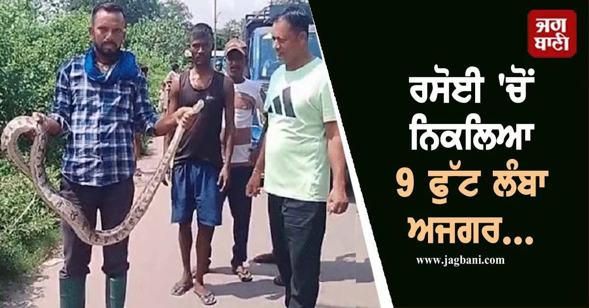 ਰਸੋਈ ''ਚ ਪਾਣੀ ਲੈਣ ਗਈ ਔਰਤ, ਸਾਹਮਣੇ ਬੈਠਾ ਸੀ 9 ਫੁੱਟ ਲੰਬਾ ਅਜਗਰ ਤੇ ਫਿਰ...