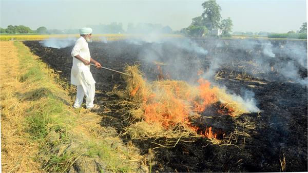patiala magistrate issues new orders regarding burning of crop residues