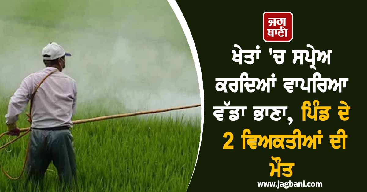 ਖੇਤਾਂ ''ਚ ਸਪ੍ਰੇਅ ਕਰਦਿਆਂ ਵਾਪਰਿਆ ਵੱਡਾ ਭਾਣਾ, ਪਿੰਡ ਦੇ 2 ਵਿਅਕਤੀਆਂ ਦੀ ਮੌਤ