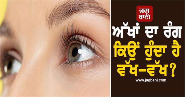 eyes color different science