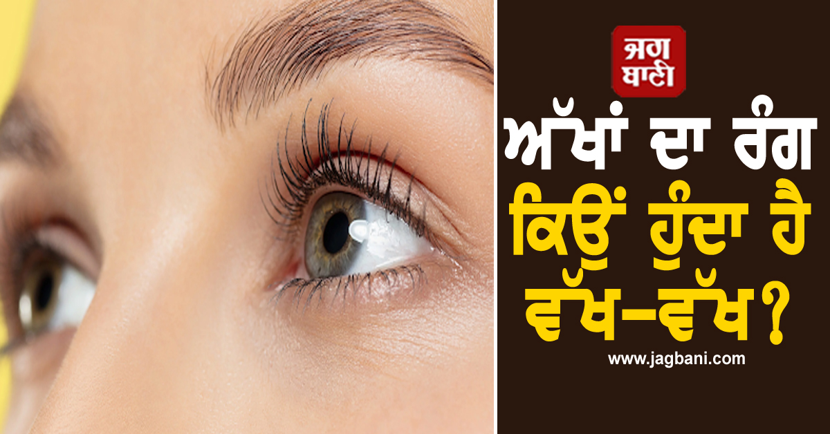 ਅੱਖਾਂ ਦਾ ਰੰਗ ਕਿਉਂ ਹੁੰਦਾ ਹੈ ਵੱਖ-ਵੱਖ? ਜਾਣੋ ਕੀ ਹੈ ਇਸ ਦੇ ਪਿੱਛੇ ਦਾ ਵਿਗਿਆਨ