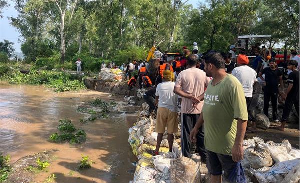 ladowal satluj flood