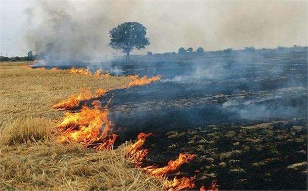 punjab stubble burning
