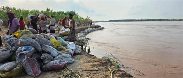 sutlej river  alert  dhussi dam