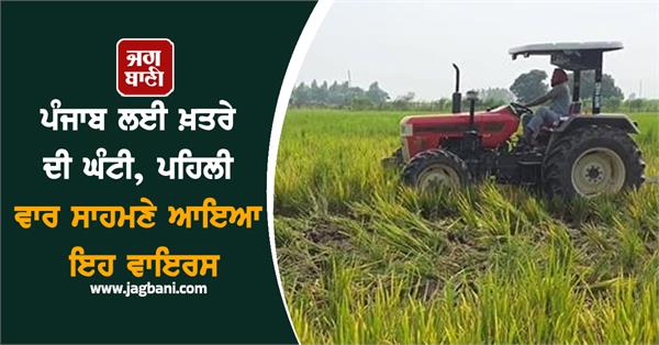 punjab danger virus