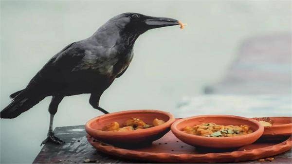 pitru paksha 2025